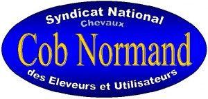 Cob normand nouveau