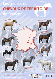 Carte chevaux de territoire - petit format