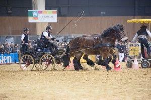 © Olivier Bernard – Equiphoto