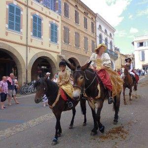 © ANR races mulassières du Poitou