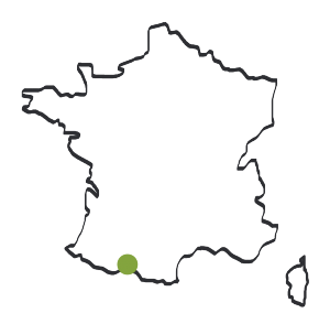 SFET Castillonnais2