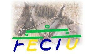 logo_FECTU