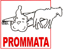 pROMMATA