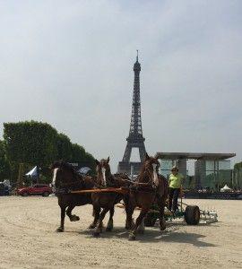 Hersage Paris Eiffel Jumping 2015