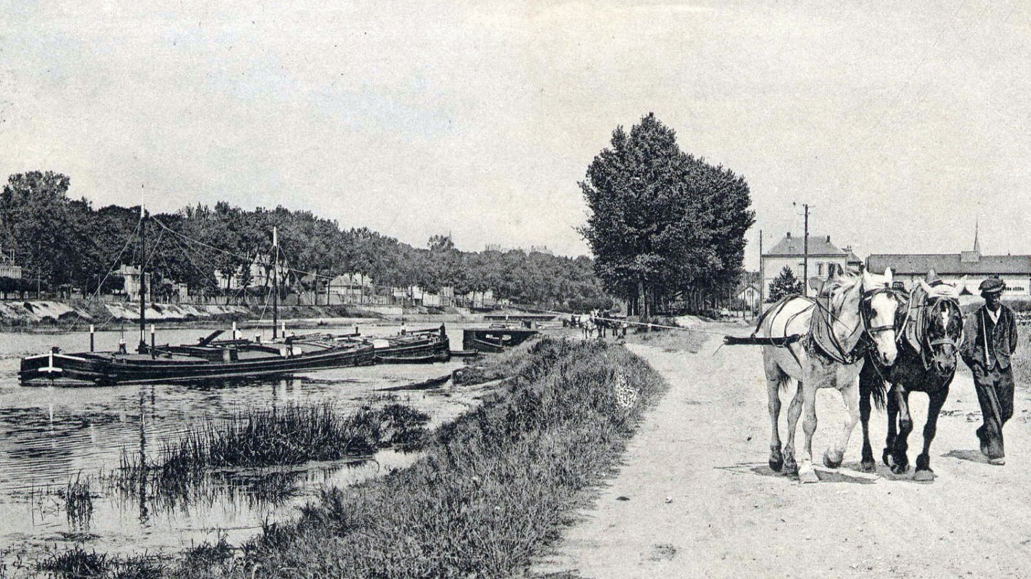 Le mât de halage (en principe utilisé en rivière), fortement haubané, mesure de 2 m à 2,50 m. Il est généralement situé entre le tiers avant et le centre géométrique du bateau.