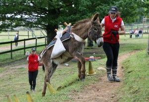 Epreuve de bât Equi-Trait-Jeunes 2015