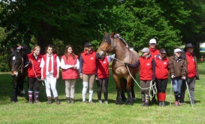 Epreuve de toilettage Equi-Trait-Jeunes 2015