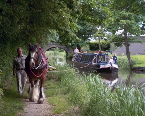 © Mike Fascione - Sur la partie médiane du canal de Montgomery à l’est du Pays de Galle, les croisières en horseboat proposées aux touristes remportent un franc succès