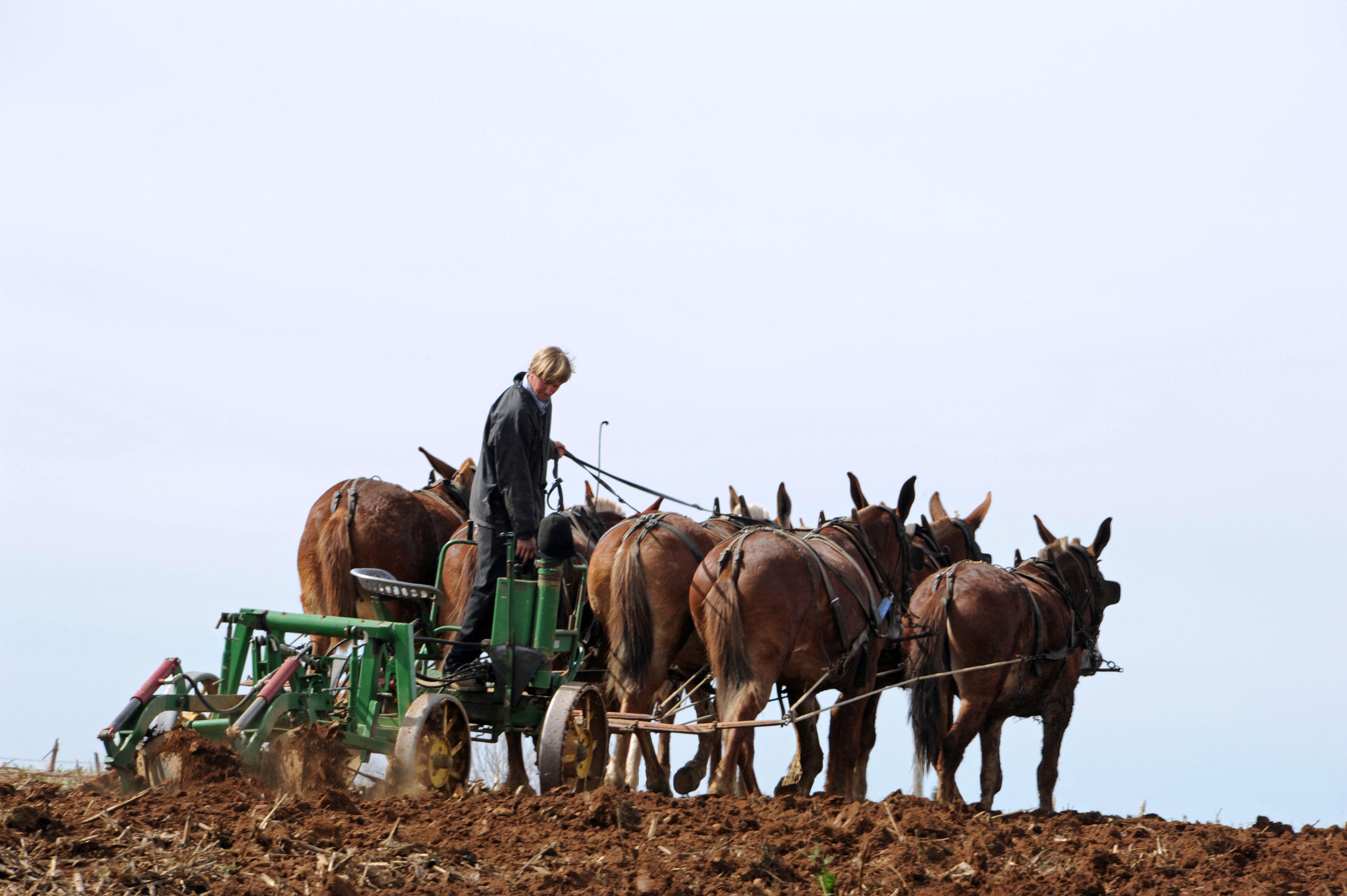 USA2015. A 1210 Energie Cheval