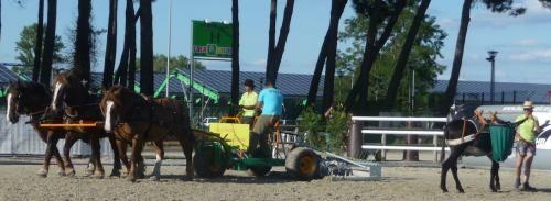 Entretien des pistes Championnats d'Europe de Horse-Ball 2015