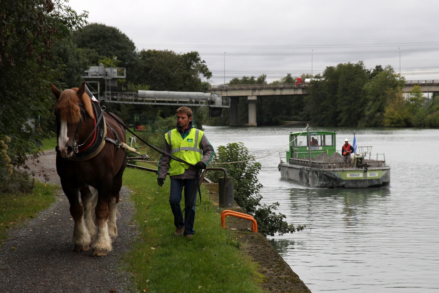 Towing barges with horses