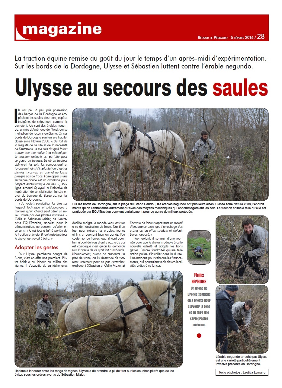 Réussir le Périgord - Vendredi 5 février 2016