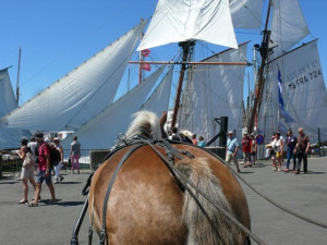 Brest 2016 : Paris réussi !