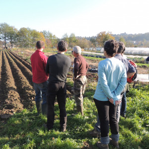 formation âne maraîcher