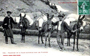 Transport de glace