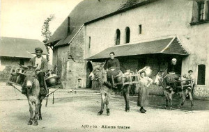 Transport de lait