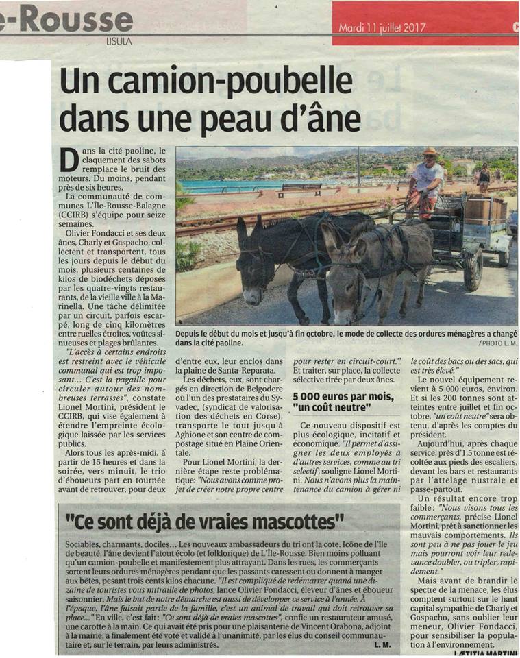 Corse matin