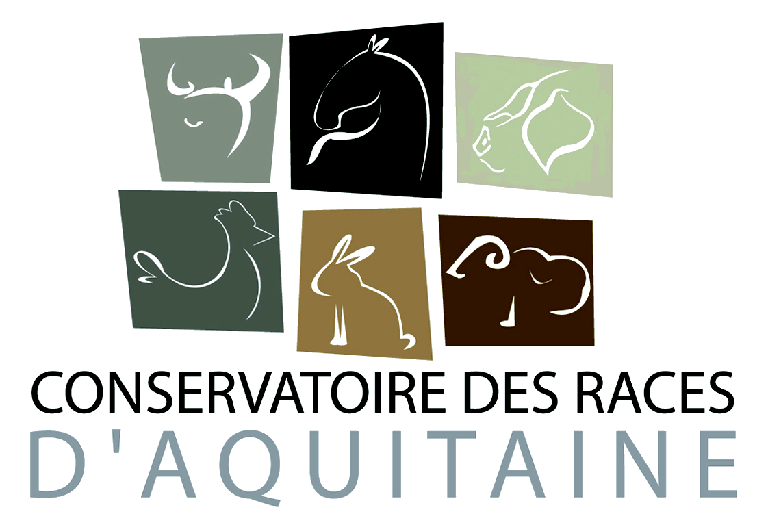 conservatoire-des-races-d-aquitaine-f8b5b4eb30ee479b976adcdfd2e43851